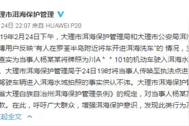 又有游客“洱海洗车”？官方：游客开车驶入洱海拍照，罚款2000图片