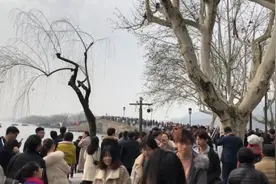 “流浪太阳”回归杭州，市民西湖晒太阳视频封面