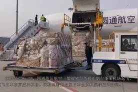 “新鲜”来袭！烟台国际机场开通烟台-日本东京（成田）全货机航线视频封面