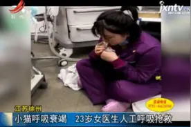 江苏徐州：小猫呼吸衰竭 23岁女医生人工呼吸抢救视频封面