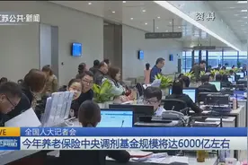全国人大记者会：2019年养老保险中央调剂基金规模将达6000亿左右视频封面