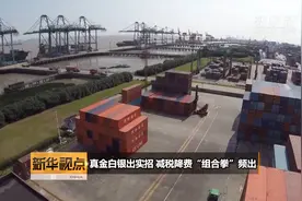 真金白银出实招 减税降费“组合拳”频出视频封面