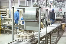 牢记嘱托 担当作为抓落实丨济宁邹城市“食用菌”带动农民增收两亿多元视频封面
