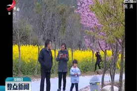 江西上犹：花溪谷里百花开视频封面