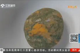 男子收藏雨花石50多年，20年前捡到奇特雨花石，石头上竟有金龙视频封面