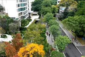 流花溪：从“脏乱差”到“打卡”景观河视频封面