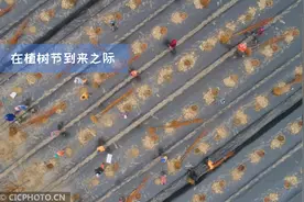 我为春日添新绿视频封面