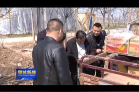 郓城潘渡镇：做大扶贫产业，助力乡村振兴视频封面