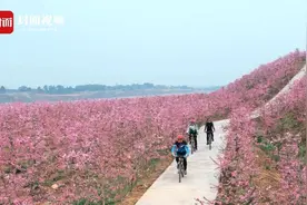 追着绿道跑的粉丝 他是网红打卡地“空港花田”的幕后推手视频封面
