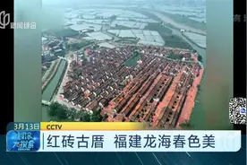 红砖古厝美不胜收！福建龙海春色娇，赶紧来一睹“芳容”吧！视频封面