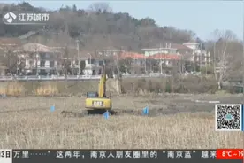 玄武湖东南角大片湖水被抽干，还在淤泥里种上了树，发生了什么？视频封面