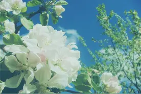 你要明白，情伤的痊愈是需要时间的，要慢慢来图片