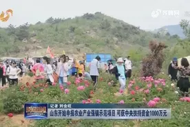 山东开始申报农业产业强镇示范项目，可获中央扶持资金1000万元视频封面