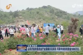 山东开始申报农业产业强镇示范项目，可获中央扶持资金1000万元视频封面
