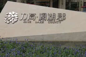 力高澜湖郡配套学校：让人头疼的“12年优质教育”图片