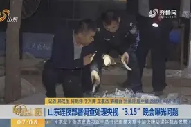 山东连夜部署调查处理央视“3.15”晚会曝光问题，当事人已被控制视频封面