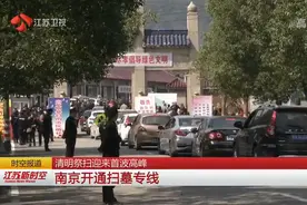 清明祭扫迎来首波高峰，全天祭扫人群超过24万，南京开通扫墓专线视频封面