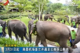 3月31日起 南昌机场首次开通至云南保山航班视频封面