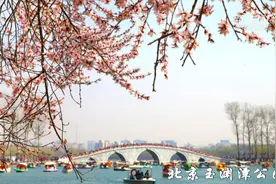 赏春踏青正当时视频封面