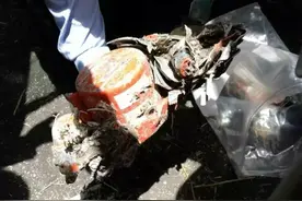 埃航坠毁客机黑匣子数据成功导出，驾驶舱录音曝光图片