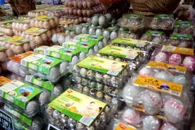 “土鸡蛋”营养价值高是真的吗？专家这样回应图片