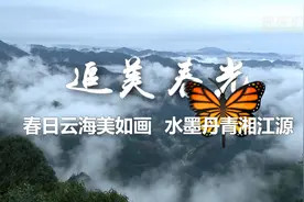 追美春光 | 春日云海美如画 水墨丹青湘江源视频封面