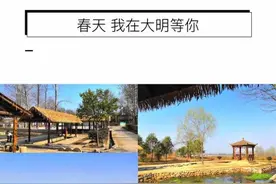 春天，我在渭南华州区大明等你图片