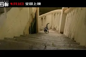 《调音师》定档4月3日 超强悬疑之作终于来了！视频封面
