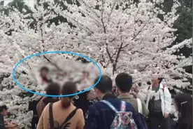 武大赏樱巡逻学生：一转身大妈就拽树拍照视频封面
