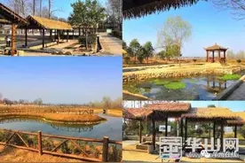 【华州旅游】春天，我在华州区大明等你...图片