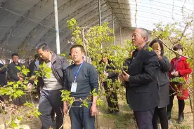 专家进田间  农技服务暖人心视频封面