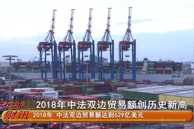 2018年中法双边贸易额创历史新高视频封面