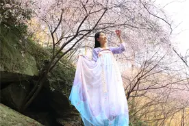 清凉寨、木兰花谷、花博汇，新城区的樱花都开了图片