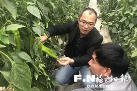 科技特派员吴飞龙十余年真情帮扶助企业壮大图片