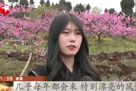 花儿开的正美！四川龙泉山桃花迎最佳观赏期，游客纷至沓来！视频封面