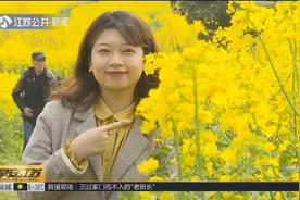 金灿灿的油菜花进入盛放期，如何拍出好看的照片呢？视频封面
