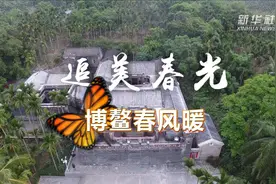 追美春光 | 博鳌春风暖视频封面