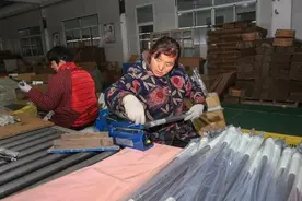 一把拖把最多附加8项专利图片