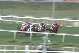 香港赛马会从化马场举行速度马术比赛视频封面