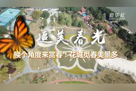 追美春光丨换个角度来赏春！花城觅春美景多视频封面