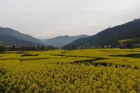 抓住“人才”牛鼻子 达州出台十条措施推进乡村人才振兴视频封面