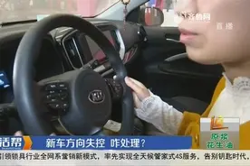 起亚奕跑方向盘如“脱缰的野马”？完全控制不住，车主：我没草原视频封面
