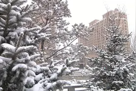 冬奥城市张家口：阳春三月雪纷飞，不知是冬还是春视频封面