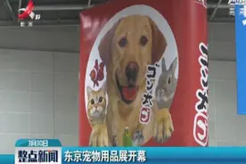 东京宠物用品展开幕视频封面