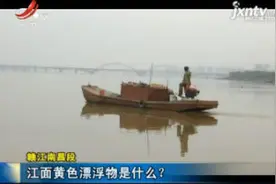 赣江南昌段：江面黄色漂浮物是什么？视频封面