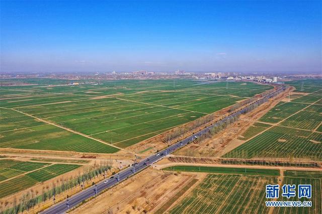 百花塑菌疑胶几天为一个疗程 2026年百花塑茵凝胶用后症状