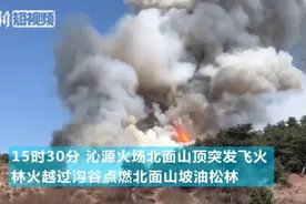 近期山西部分地方频发山火 警方拘留23人视频封面