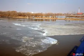 哈尔滨松花江上跑冰排 最大的面积超过足球场图片