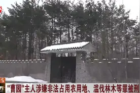 新进展！“曹园”主人涉嫌非法占用农用地、滥伐林木等罪被刑拘视频封面