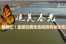 追美春光丨春耕忙！走进沿黄生态高效农业示范区视频封面